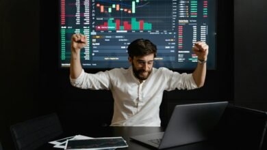 tata hybrid equity fund