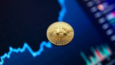utility value fund details