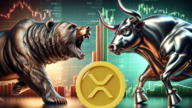 XRP Price in the Bear Market: What’s Going On?