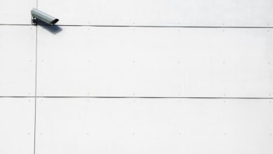 telecom privacy and oversight