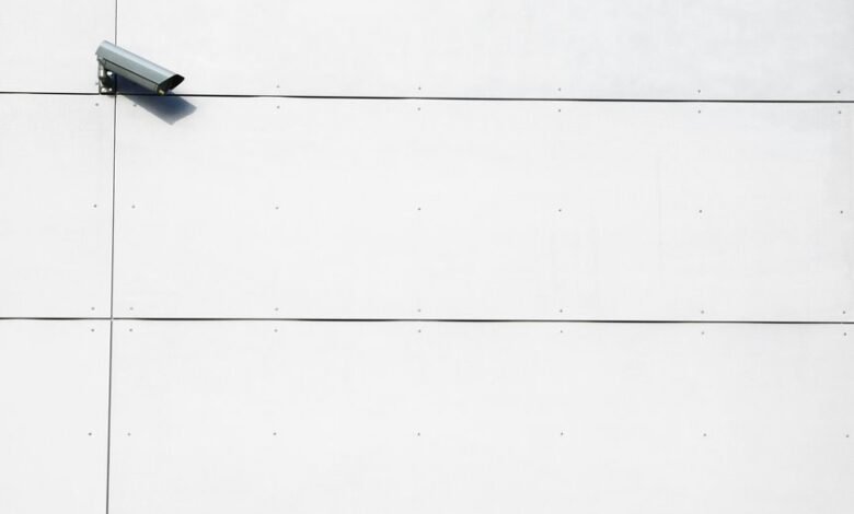 telecom privacy and oversight