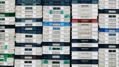 business efficiency assessment report