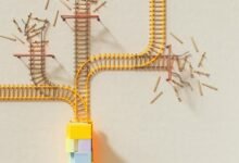 innovation strategy for projects