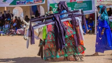 market performance analysis report