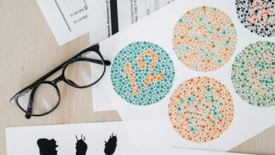 vision pathways for numbers