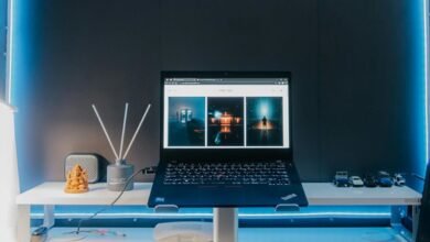 digital hub professional services